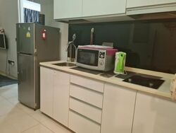 Suites @ Sims (D14), Apartment #460128931